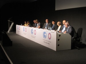 Cop20 di Lima