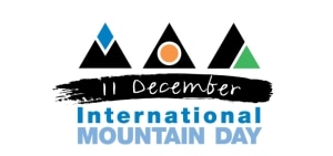 Il logo della Giornata internazionale della montagna