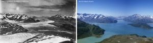 Grand Pacific Glacier, in Alaska, a sinistra la situazione nel 1899, a destra nel 2013 durante la spedizione di "Sulle tracce dei ghiacciai" (Photo courtesy Brabazon/Ventura)