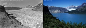 Muir Glacier, a sinistra com'era nel 1941, a destra nel 2013 durante la spedizione di "Sulle tracce dei ghiacciai" (Photo courtesy of Field/Ventura)