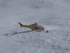 elic-300x225.jpg