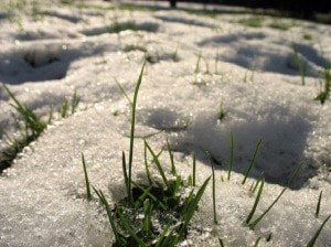 Photo of Neve, la montagna piange: arriva un weekend di caldo estivo. Eppure c'è un rischio valanghe