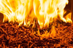 pellet-300x199.jpg