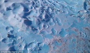 Neve-blun-the-siberian-times-300x178.jpg