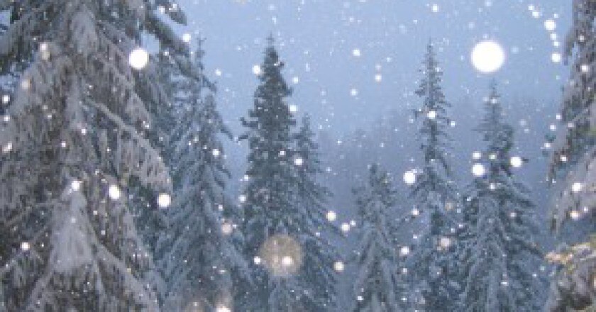 Snowfall-300x169.jpg