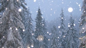 Snowfall-300x169.jpg