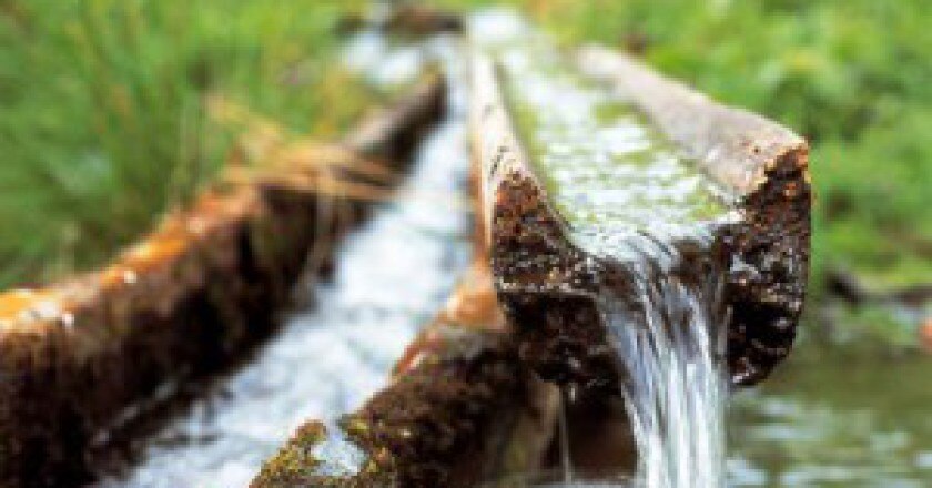 Acqua-300x199.jpg