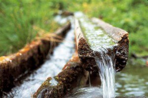 Acqua-300x199.jpg
