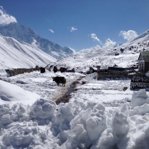 Dingboche-Photo-Simone-Moro-FB-300x300.jpg