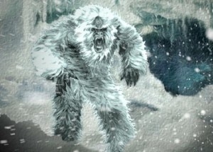 Light_Coat_Yeti-300x215.jpg