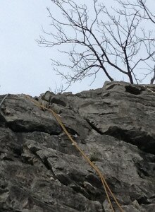 image-5-220x300.jpg