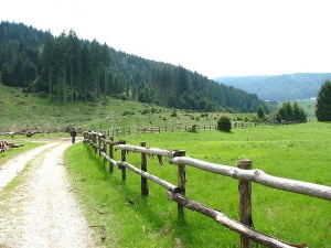 Cansiglio-foto-Marco-Walker-Wikimedia-Commons-300x225.jpg