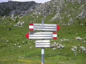 Segnaletica-photo-vieferrate.it_-300x225.jpg