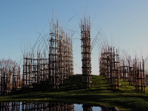 cattedrale1-300x225.png