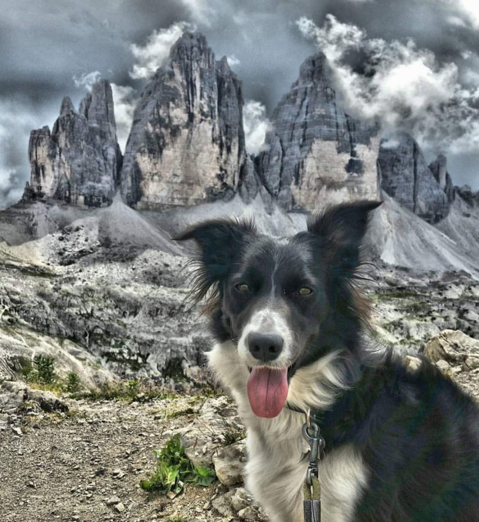 Alle Tre Cime di Lavaredo. Foto @ La Mally