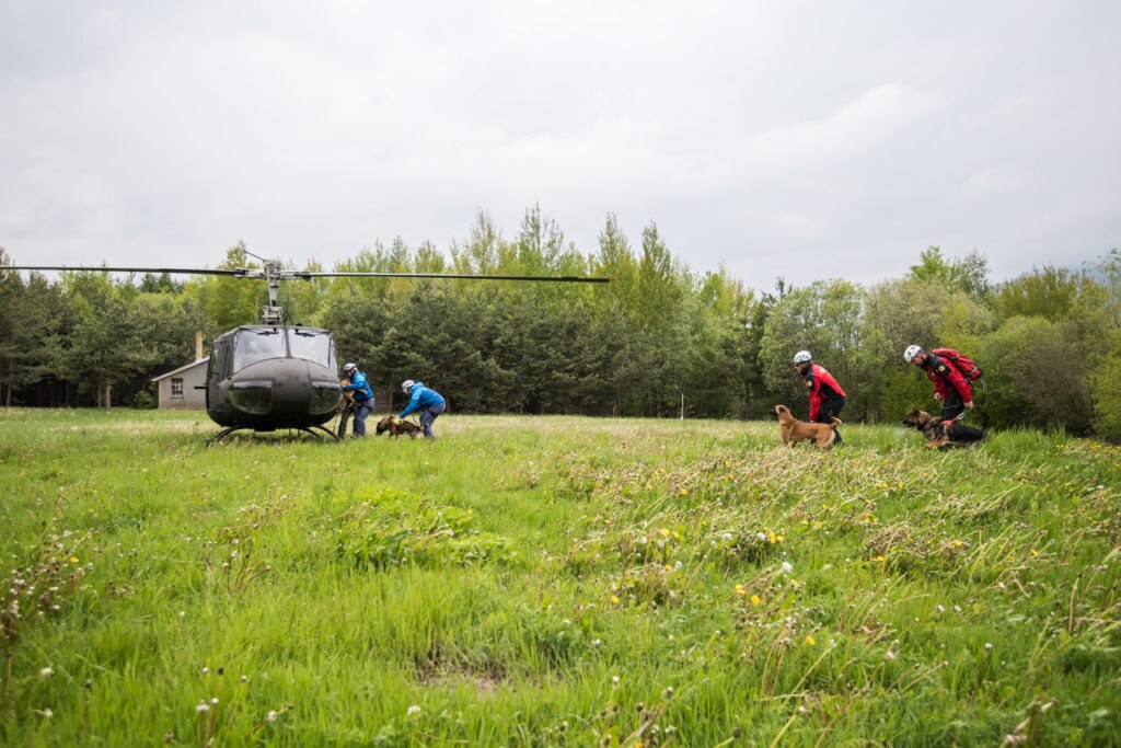 ISAK 2019, foto © Alan Bianchi