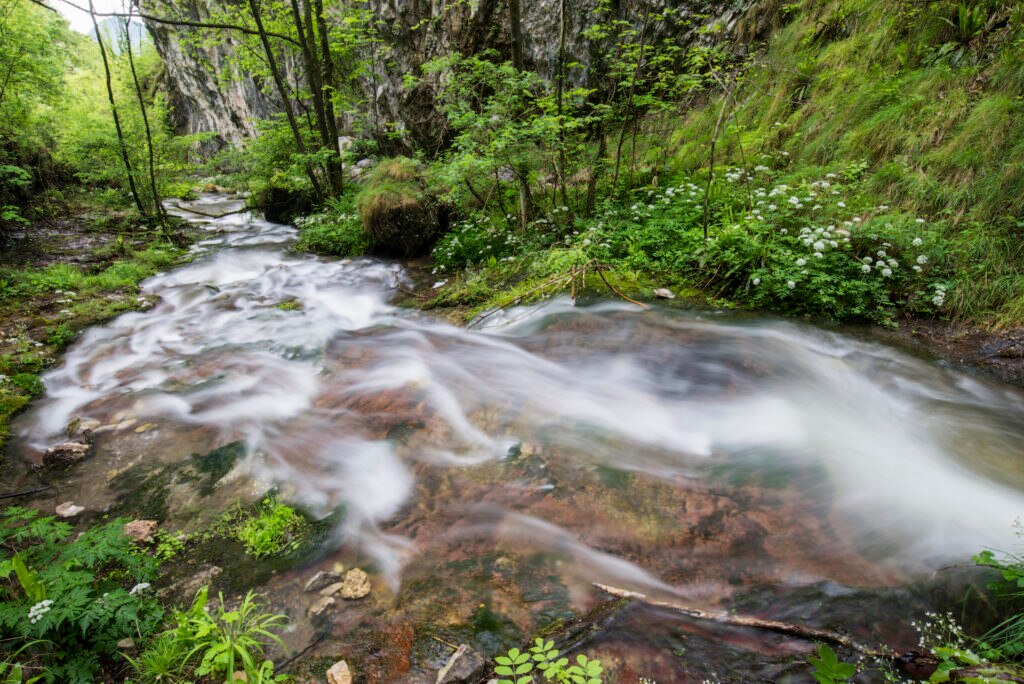 Foto 3 - Valgua piena - Mauro Monachino - Albino