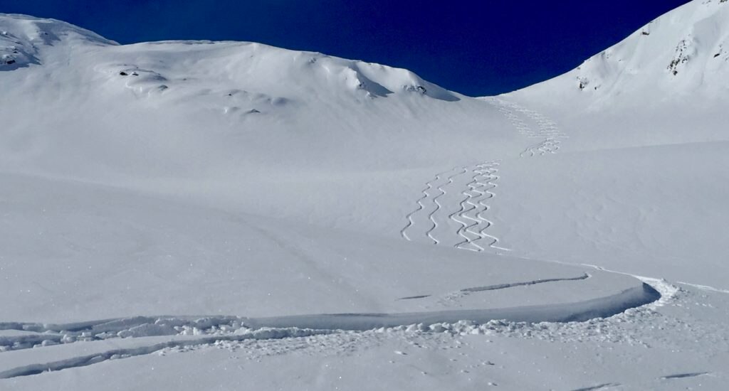Veronica Balocco e Michele Cucchi