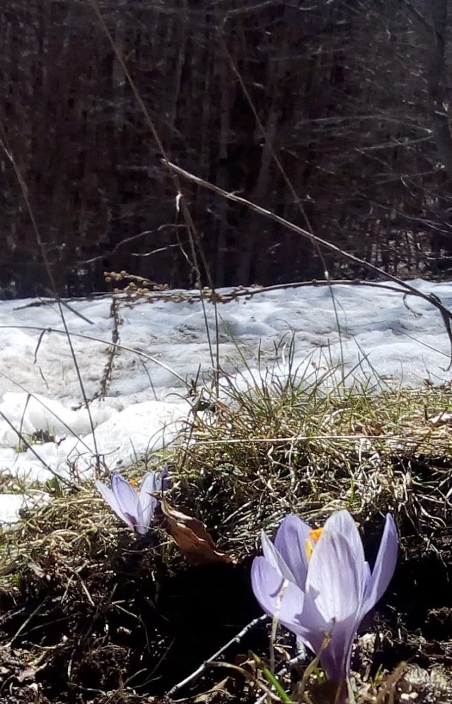 Abruzzo 2019. Foto @ Giuseppe Cardarelli