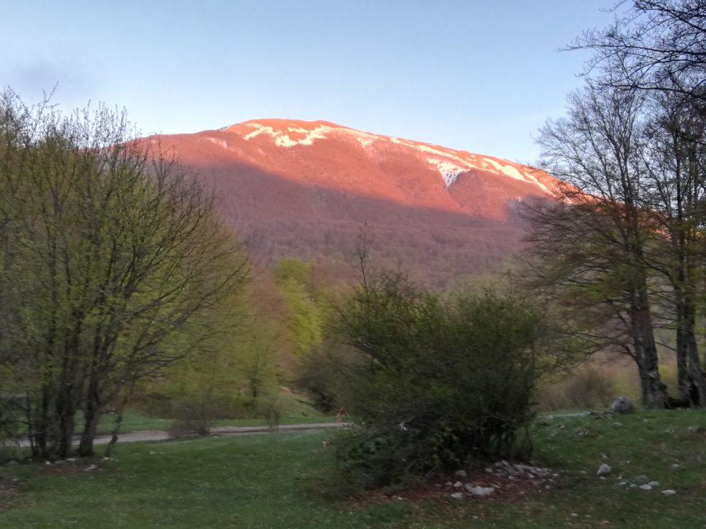 Foto @ Alessio Donvito