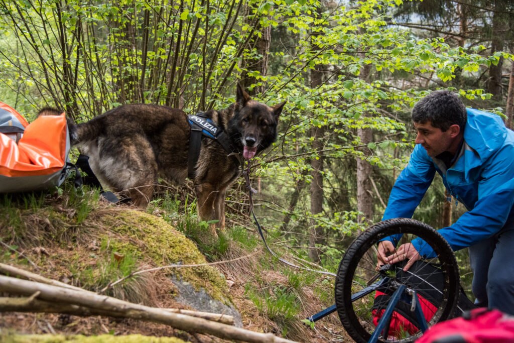 ISAK 2019, foto © Alan Bianchi
