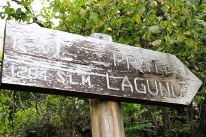Lagunc-300x200.jpg