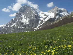 grans-300x225.jpg