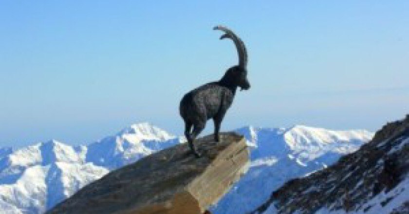 parco-nazionale-del-gran-paradiso-300x225.jpg