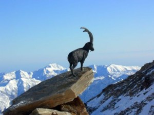 parco-nazionale-del-gran-paradiso-300x225.jpg