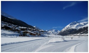 sci-fondo-300x180.jpg