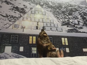 yeti-300x225.jpg