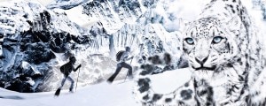 dynafit-300x120.jpg