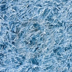 gelo-150x150.jpg