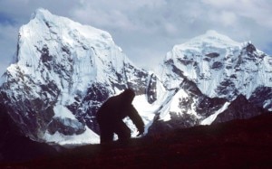 yeti-300x187.jpg