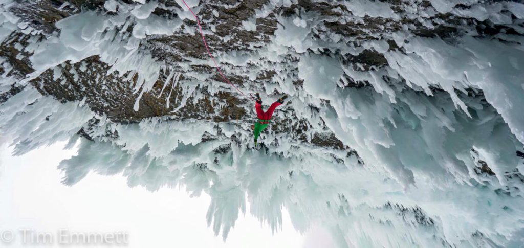 Photo courtesy Tim Emmet