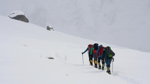 provesalita-300x169.jpg