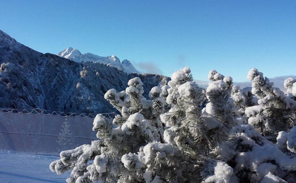 Lavorando a Ponte di Legno. Foto di Claudio Pedro Pedrazzini