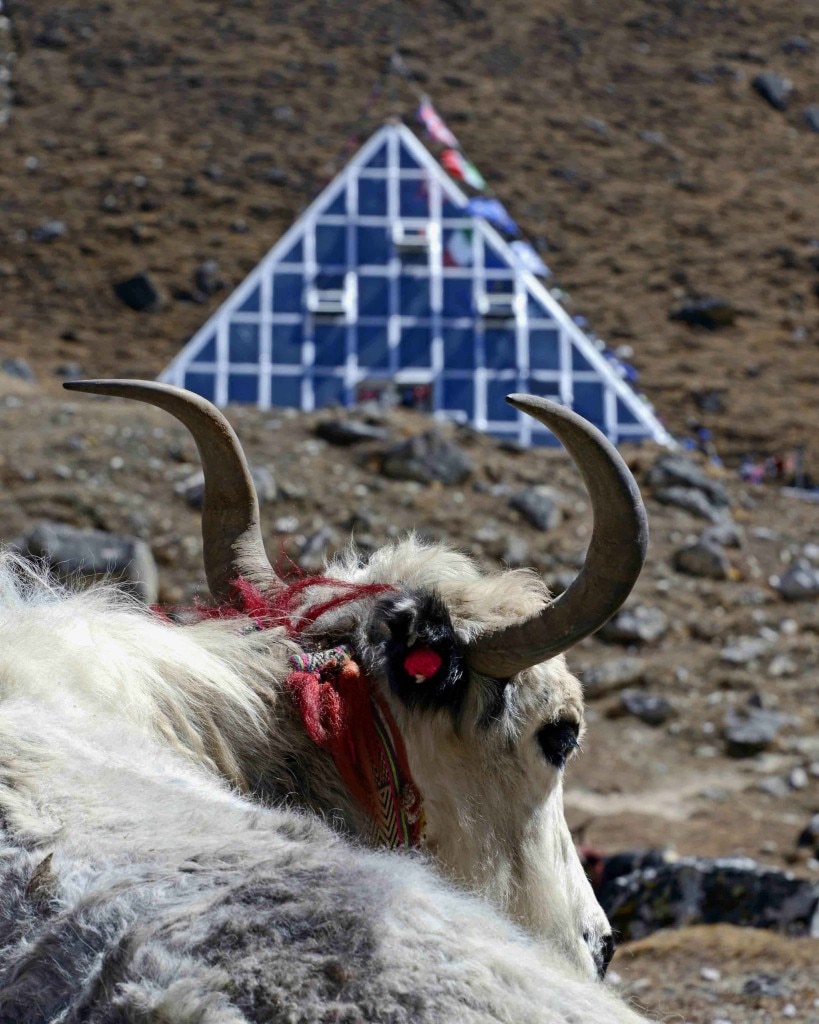 Foto @ Enrico De Santis