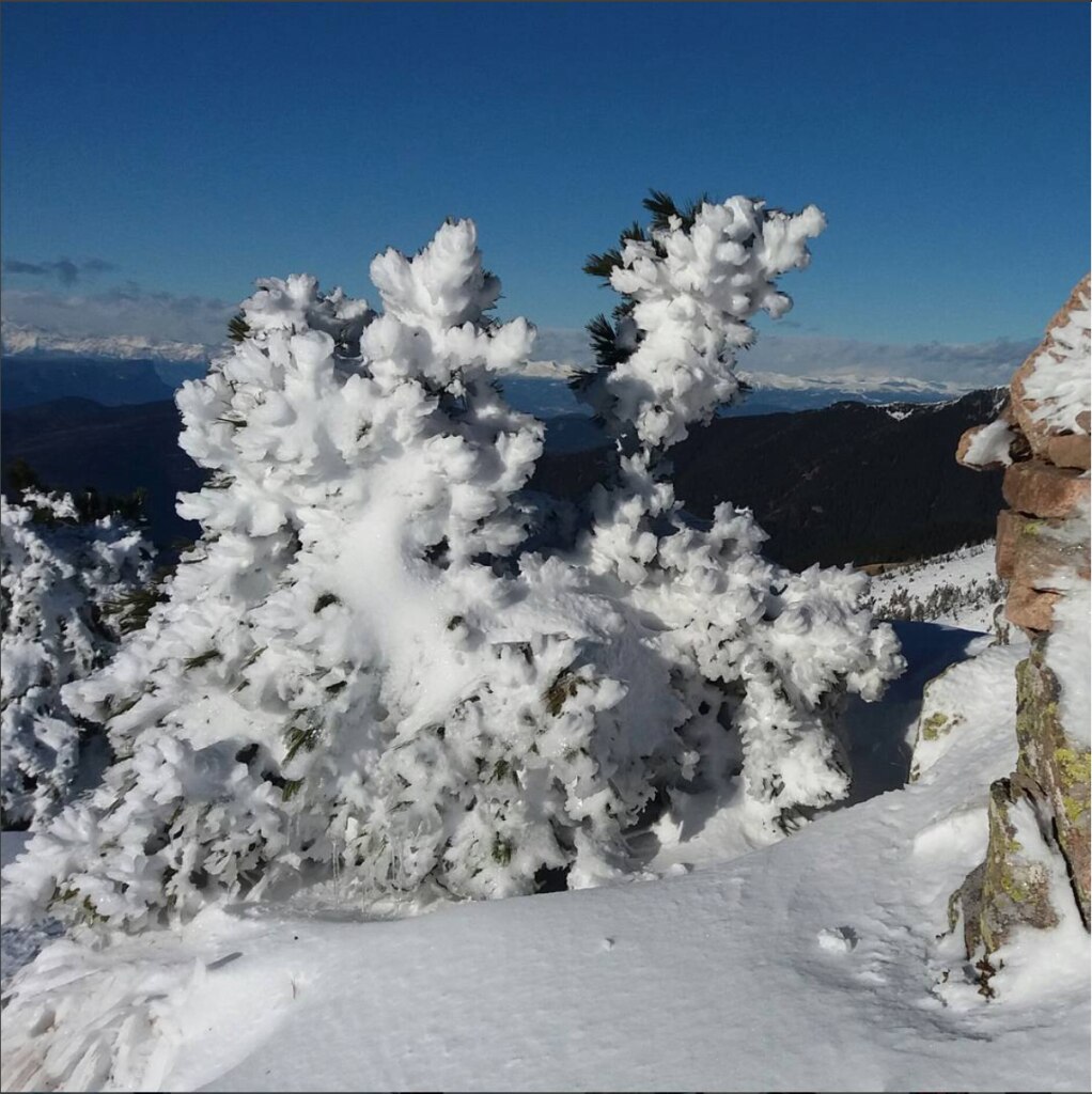 Foto di erminiotoller via Instagram