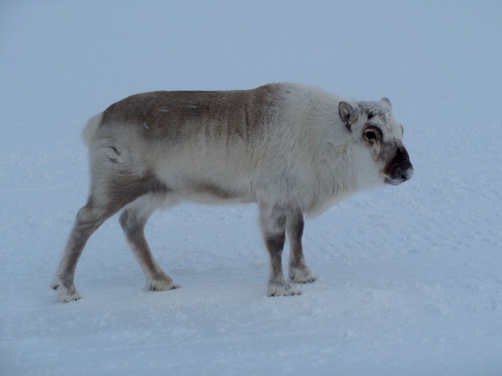Photo courtesy Federico Colli
