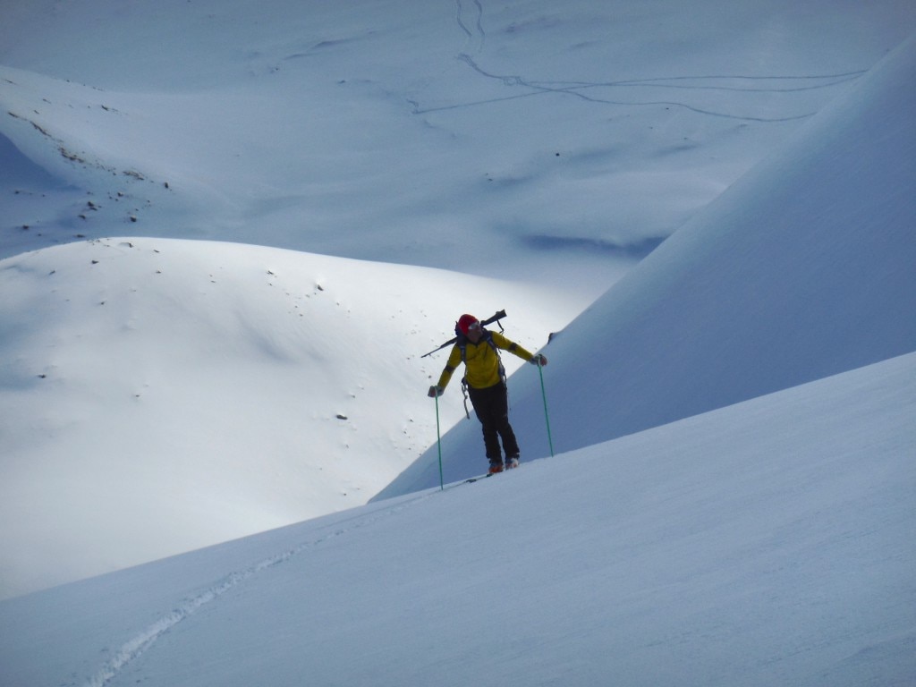 Photo courtesy Federico Colli