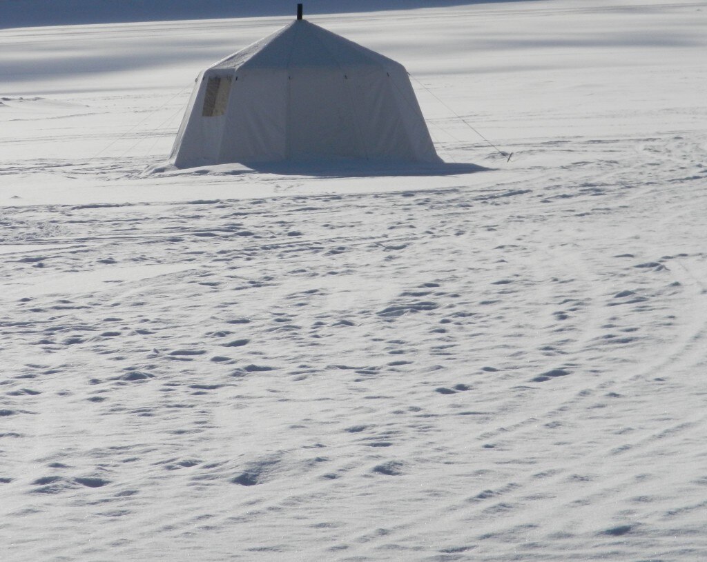 Photo courtesy Federico Colli