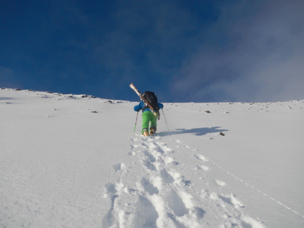 Photo courtesy Federico Colli