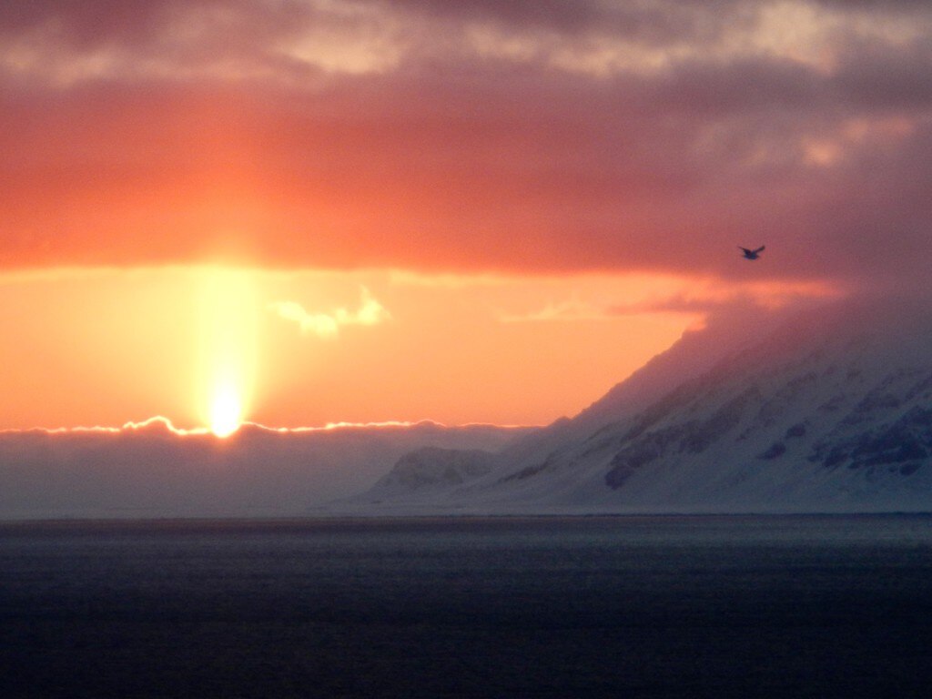 Photo courtesy Federico Colli