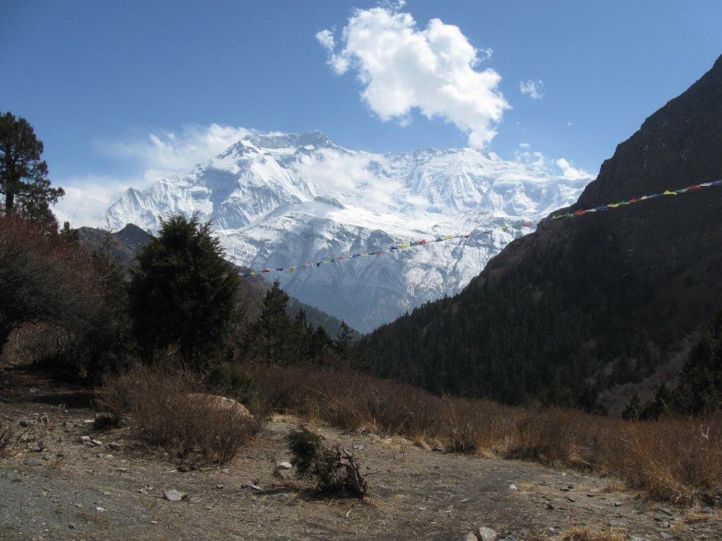 Photo courtesy Alessando Stellini