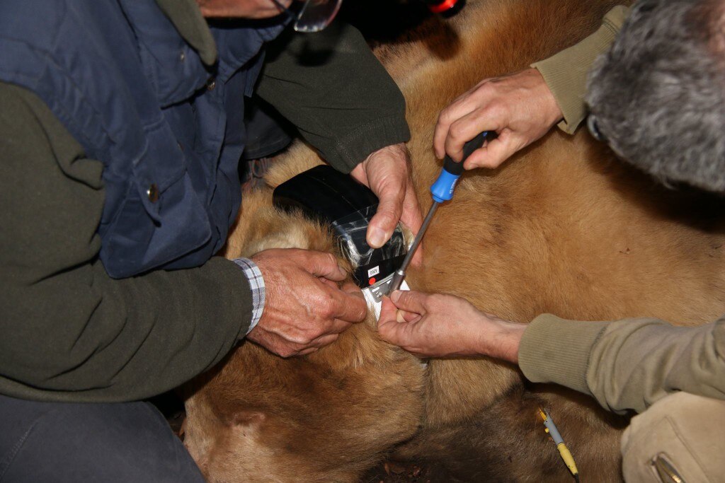 Photo courtesy Università degli Studi di Udine