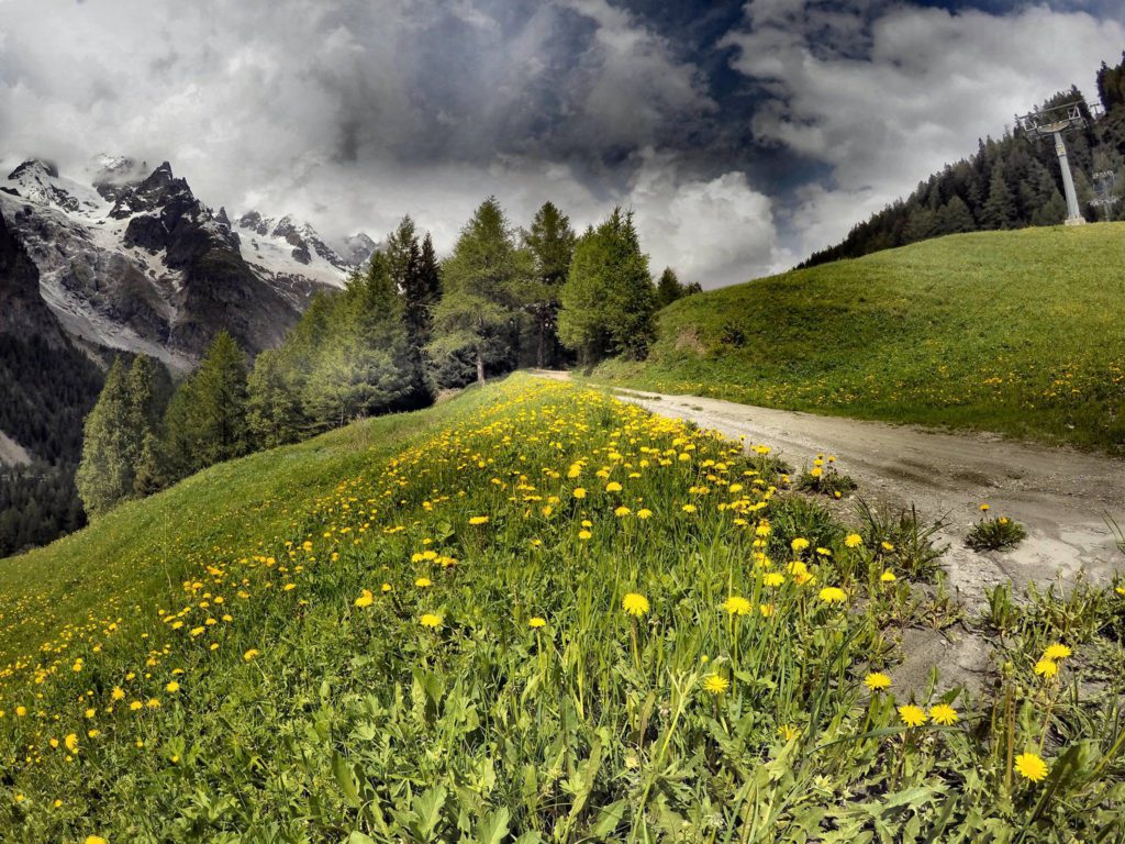 Val Veny, Courmayeur - Foto di Cinzia Belfrond