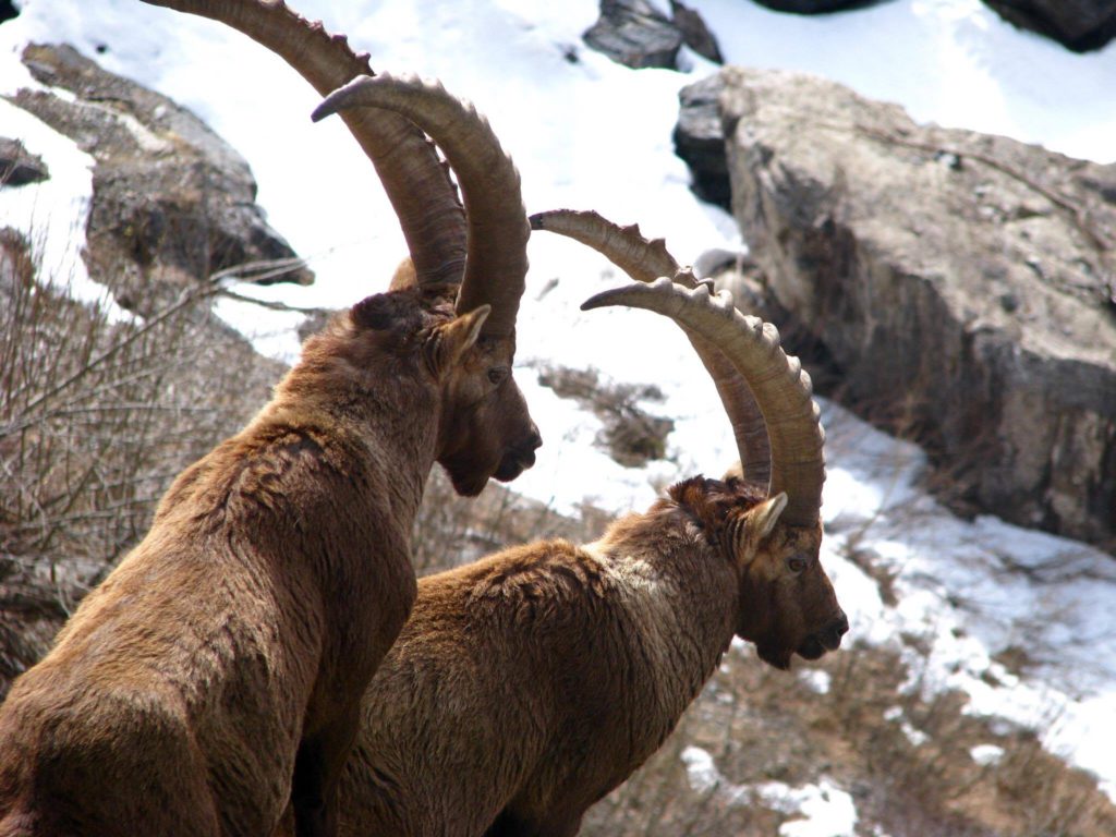 Rifugio Curò, Valle Seriana, Bergamo. Foto di Marco Capitanio 