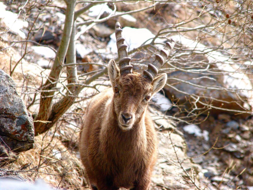 Rifugio Curò, Valle Seriana, Bergamo. Foto di Marco Capitanio 