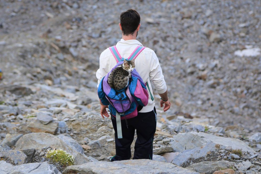 Photo Davide Mezzeria Facebook Page